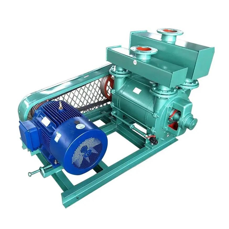 水環(huán)式真空泵