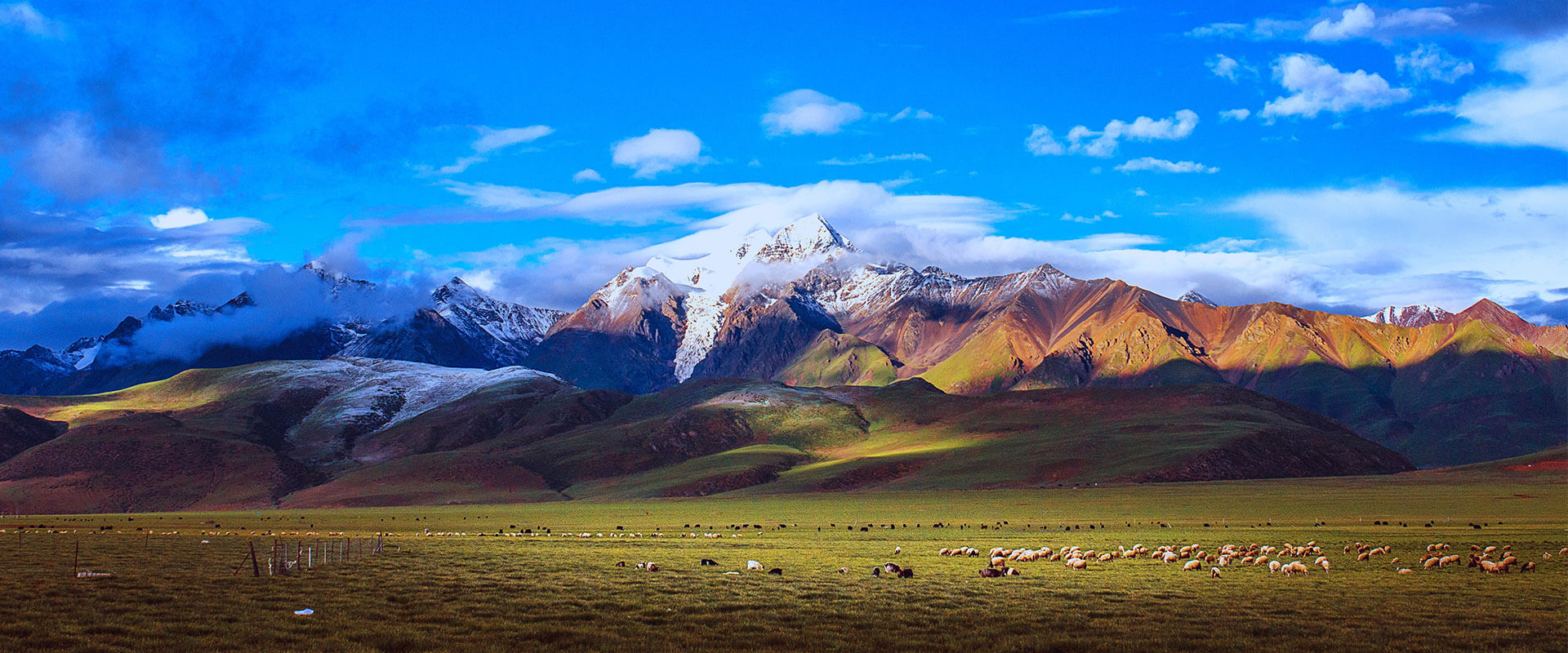 真空泵廠(chǎng)家