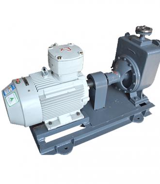 真空泵廠(chǎng)家