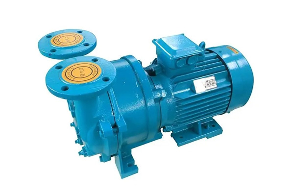 水環(huán)式真空泵